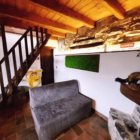 Il Santo Graal 木屋 特廖拉