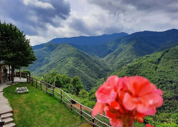 Il Santo Graal Alpehytte Triora